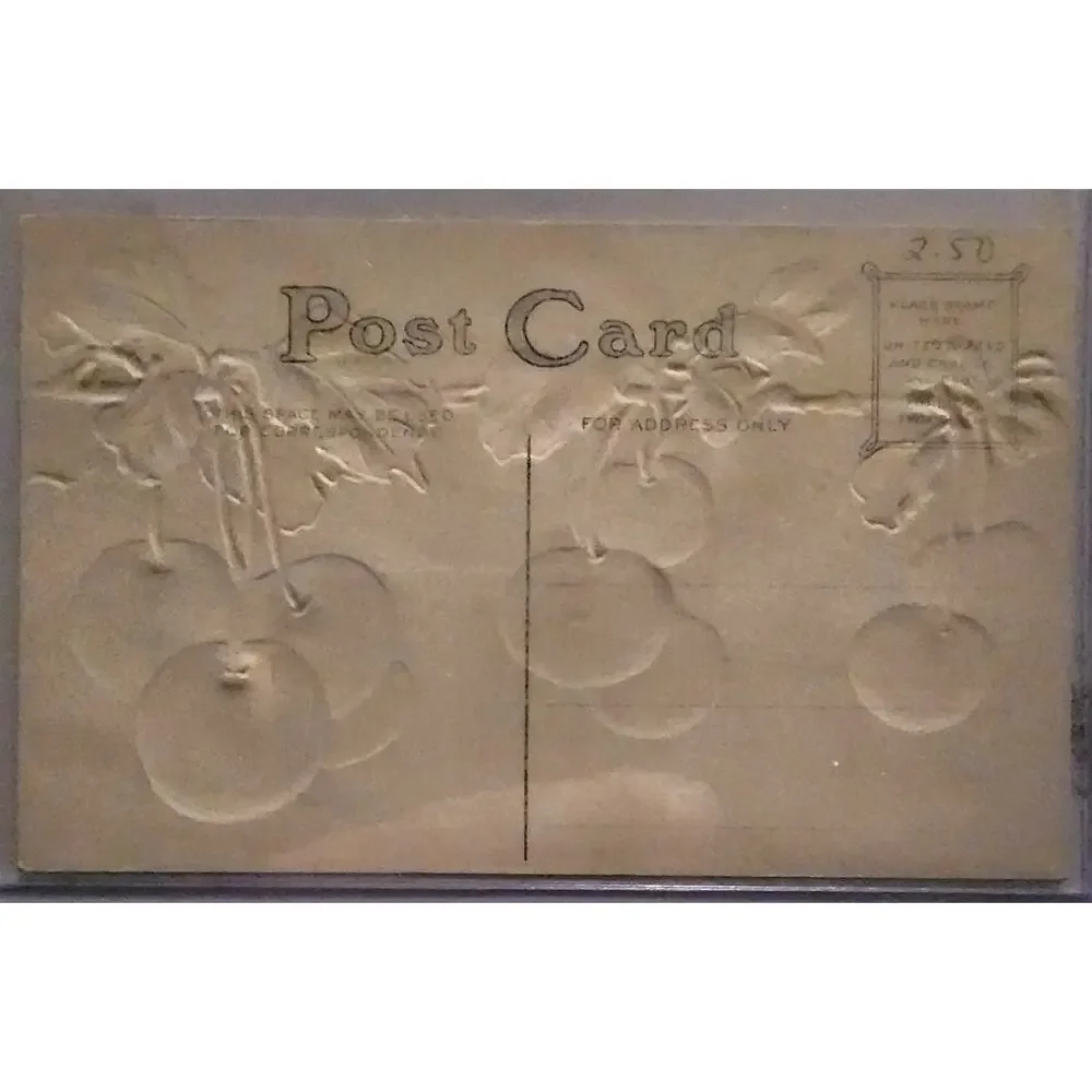 Lot Of Four Vintage Antique Embossed Postcards Fruit